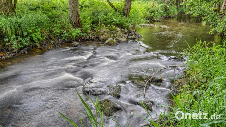 Titelbild: Norbert Vetter aus Kemnath, Fichtelnaab bei Neusorg. Bild: exb/Norbert Vetter