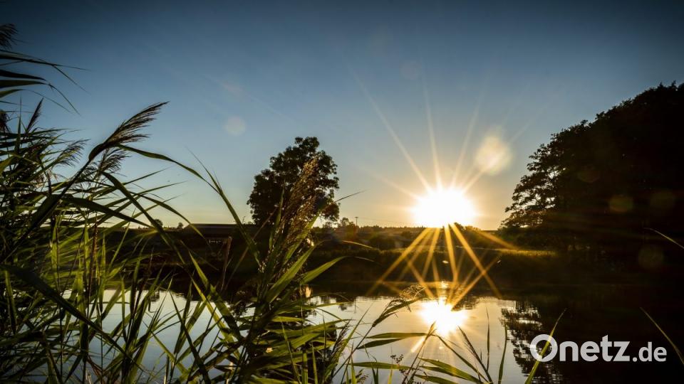 Juli: Andreas Kroher, Kirchenthumbach, Sassenreuther Weiher. Bild: exb/Andreas Kroher