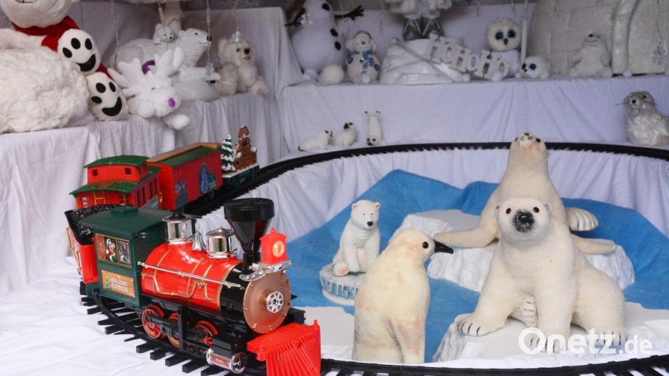 Im Gartenhaus der Harrers dreht eine Disney-Eisenbahn ihr Runden im Eisbärenland. Bild: Gabi Schönberger