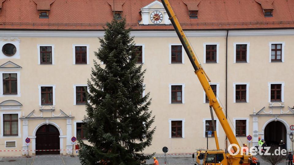 Der Weihnachtsbaum am Malteserplatz wird aufgestellt. Bild: Wolfgang Steinbacher
