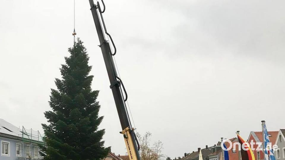 Per Kran schwebt der Christbaum für den Hirschauer Marktplatz ein. Bild: Stadt Hirschau