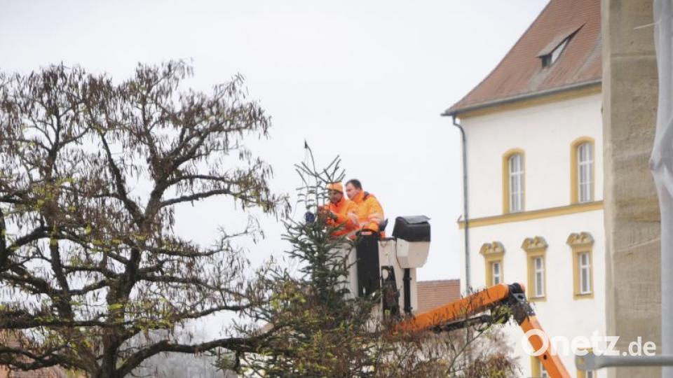 Ein Christbaum steht in Sulzbach-Rosenberg. Bild: Joachim Gebhardt