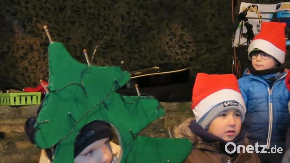 Der Tannenbaum erfüllt sich einen Traum. Bild: Hirsch