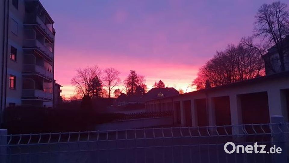 Rebühl, Weiden. Bild: Marcella Maresca