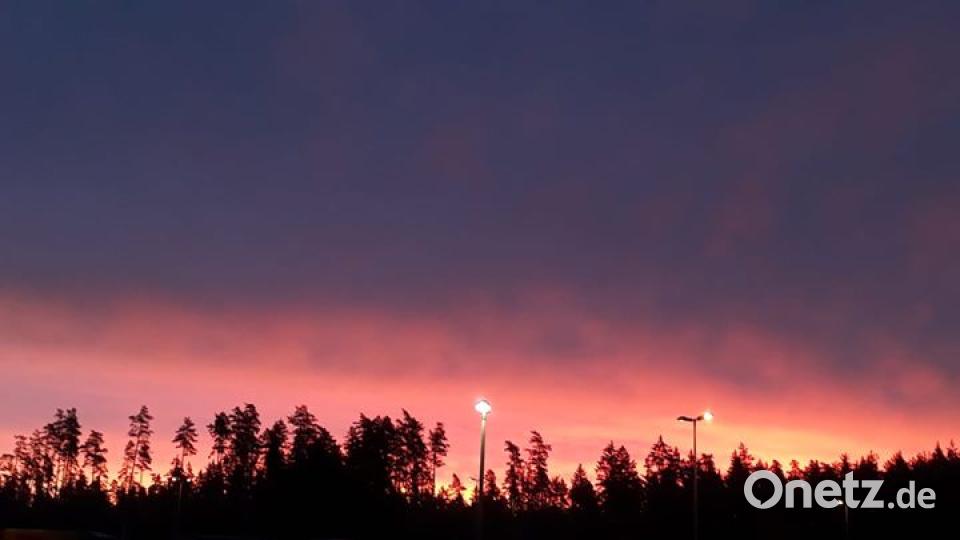 Falkenberg. Bild: Stephanie Dick