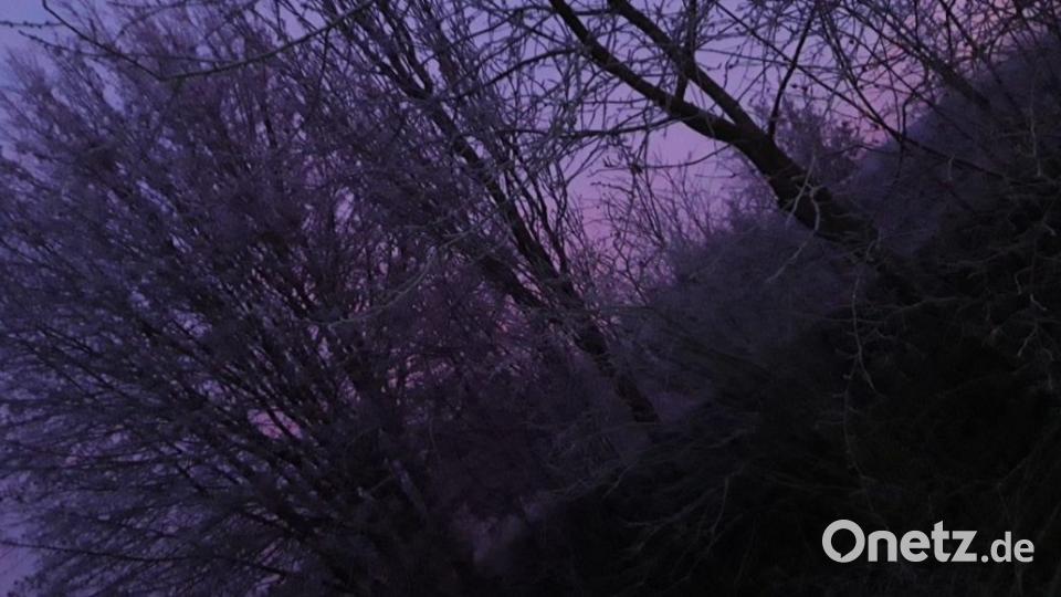 Der Himmel ist lila, nicht blau! Bild: Lisa Wittmann