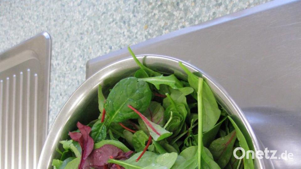 Gemischten Blattsalat der Saison (u.a. Feldsalat) waschen und putzen. Bild: Portner