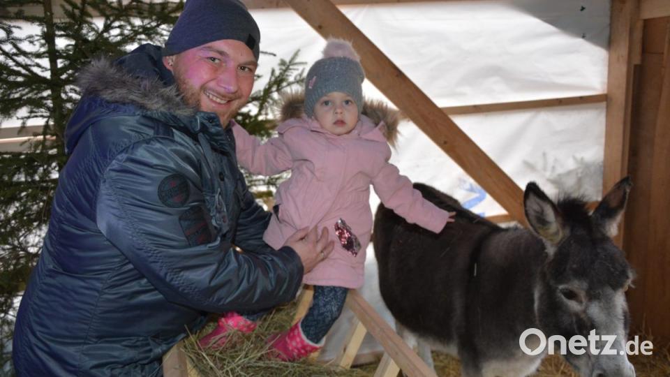 Keine Angst vor großen Tieren. Bild: jr