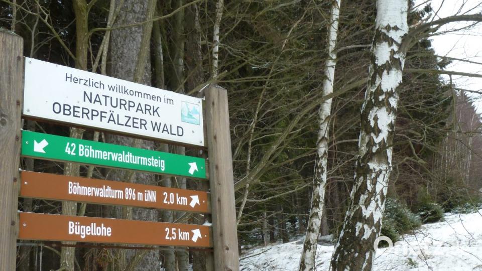 Wandern statt Skifahren und de gute Aussicht bis nach Tschechien oder über den Oberpfälzer Wald genießen. Bild: Portner