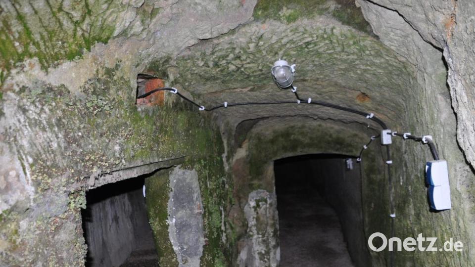 Sanierter Felsenkeller: Im Sommer wurden noch die Keller saniert und mit einer Beleuchtung ausgestattet: Sie sind beleuchtet, belüftet und begehbar. Die Böden erhielten eine Kieselschüttung. Die vorhandenen aber überdeckten Lüftungsschächte öffnete man, um das alte Kellerklima wieder zu gewährleisten. Die Keller wurden früher als Lagerstätte für Bier und Lebensmittel genutzt. Bild: ak