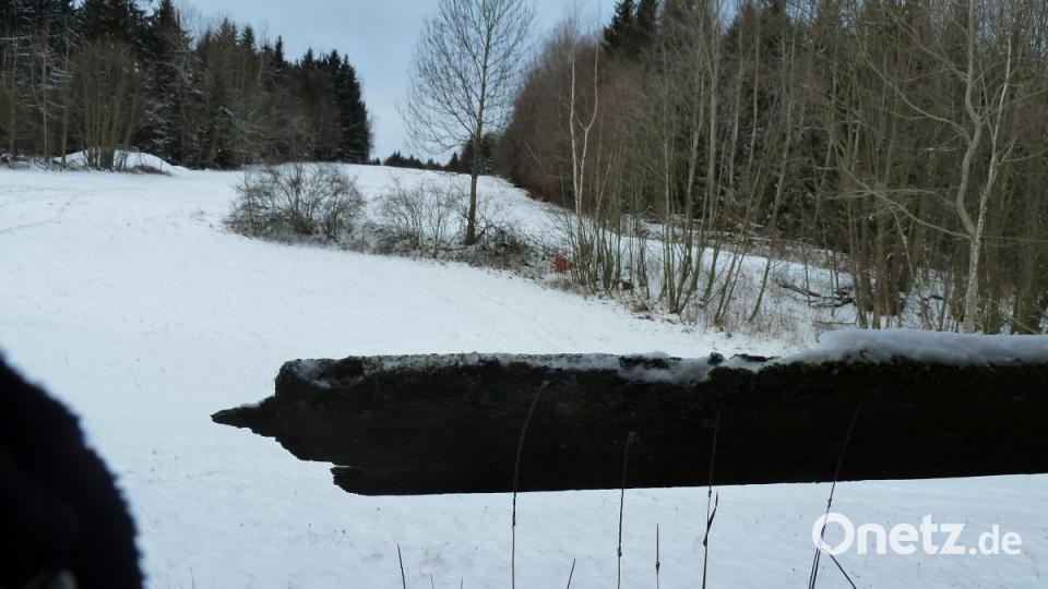 Morsche Bretter am Auslauf der Böhmerwaldabfahrt. Auch einen Steilhang gab es hier. Bild: Portner