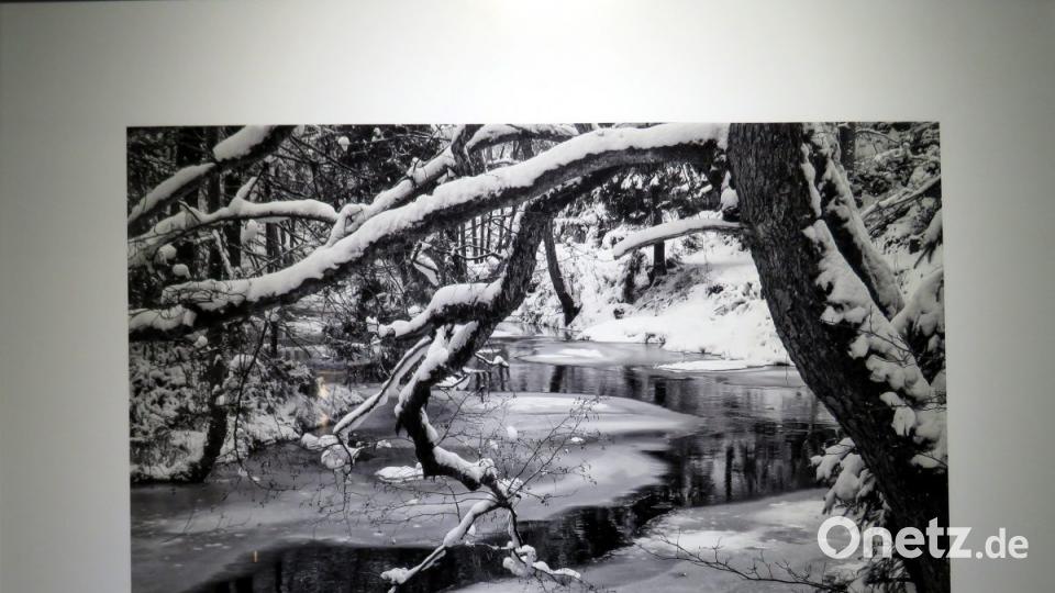 Die Waldnaab im Winterkleid. Bild: ubb