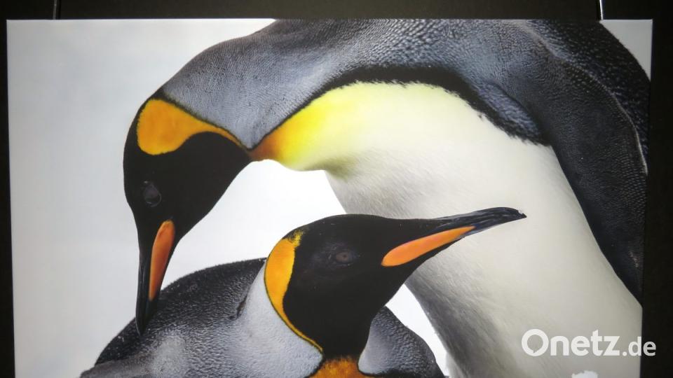 "Partnerschaft" nennt Hartmut Bombosch diese Fotographie. Bild: ubb