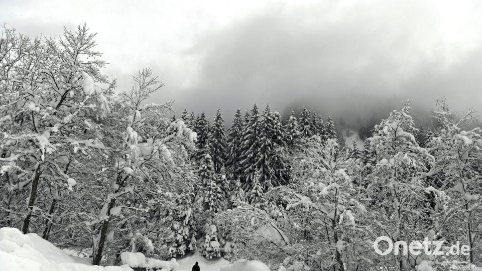 Eine verschneite Landschaft bei Niedertauern, Salzburg. Bild:  Harald Schneider/APA/dpa