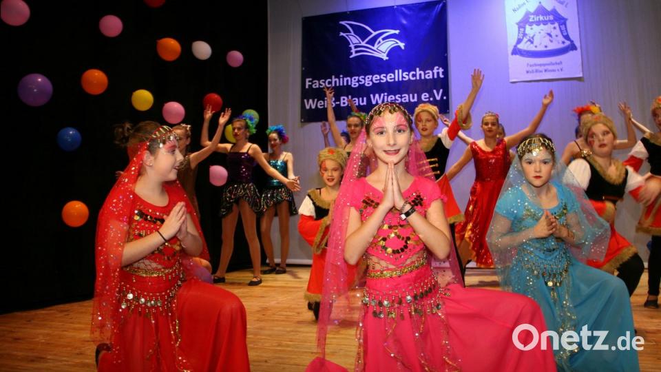 Galaabend der Faschingsgesellschaft Weiß-Blau Wiesau. Bild: wro