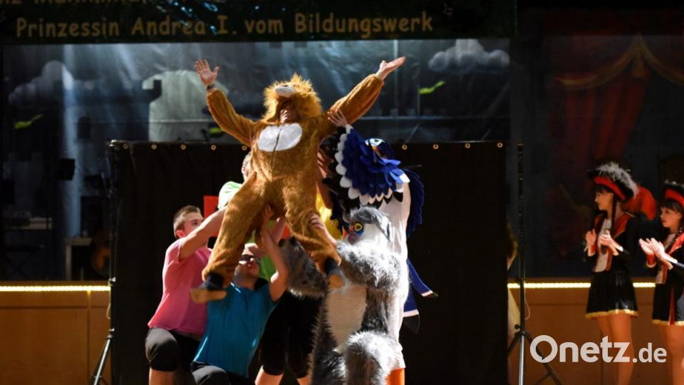 Inthronisationsball Neustadt 2019 Bild: bgm