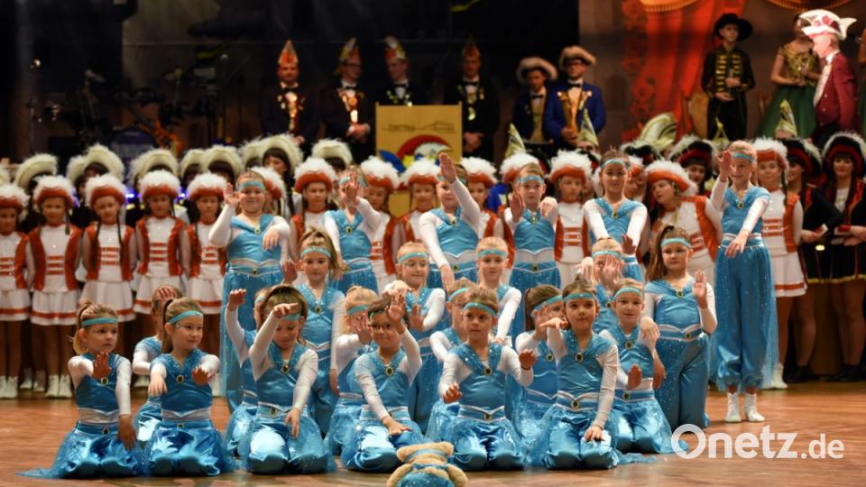 Inthronisationsball Neustadt 2019 Bild: bgm