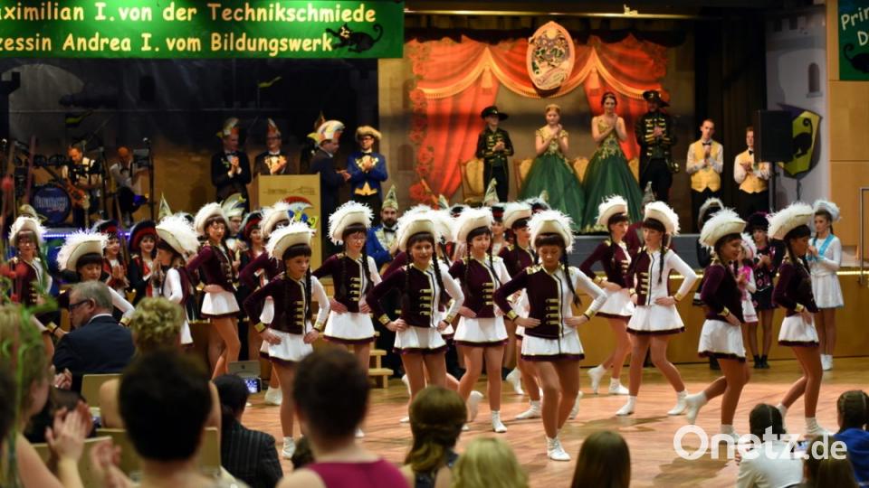 Inthronisationsball Neustadt 2019 Bild: bgm