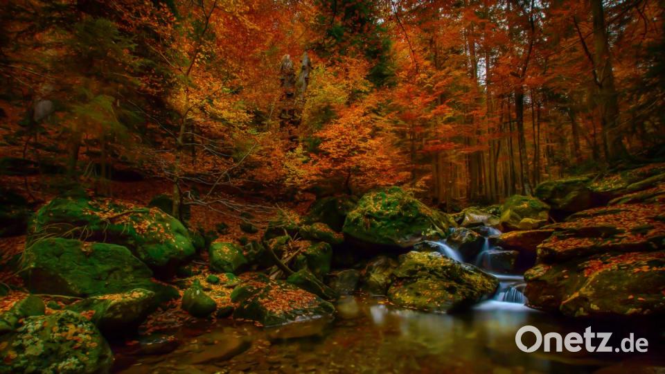 &quot;Herbstträume&quot;, Peter Neunteufel, 1. Platz beim Thema &quot;Farbspiele&quot; Bild: Peter Neunteufel