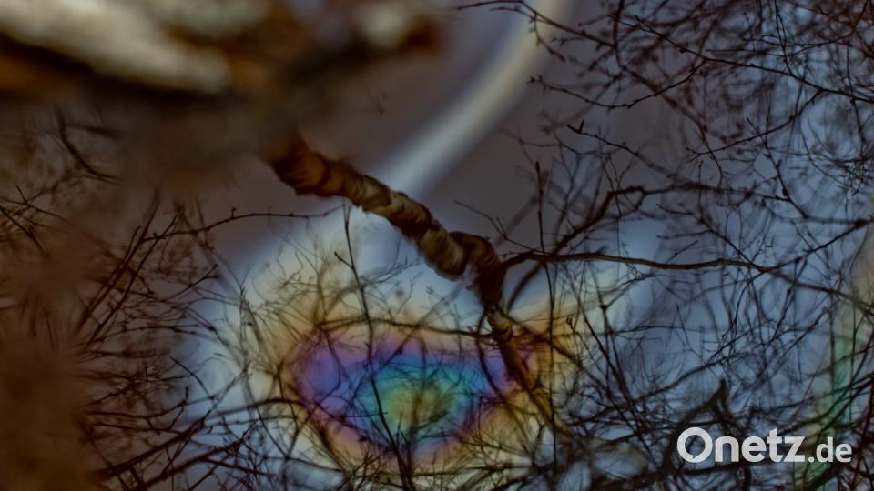 &quot;Wasserqualität&quot;, Anna Betz, 10. Platz beim Jugendthema &quot;Das bewegt mich&quot; Bild: Anna Betz