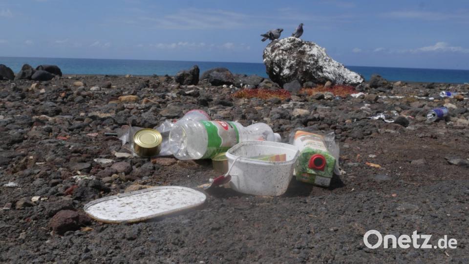 &quot;Bedrohung des maritimen Ökosystems&quot;, Hannah Sax, 5. Platz beim Jugendthema &quot;Das bewegt mich&quot; Bild: Hannah Sax