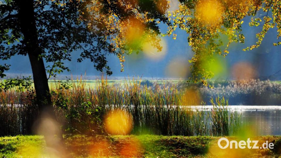 &quot;Bunte Herbsttupfer&quot;, Georg Birner, 5. Platz beim Thema &quot;Farbspiele&quot; Bild: Georg Birner