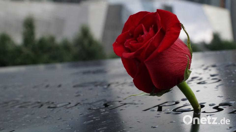 &quot;Rose in New York&quot;, Conrad Schildbach, 2. Platz beim Jugendthema &quot;Das bewegt mich&quot; Bild: Conrad Schildbach