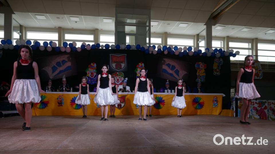 Viel Spaß hatten die Teilnehmer des 41. Seniorenfaschings des Landkreises Tirschenreuth. Bild: tr
