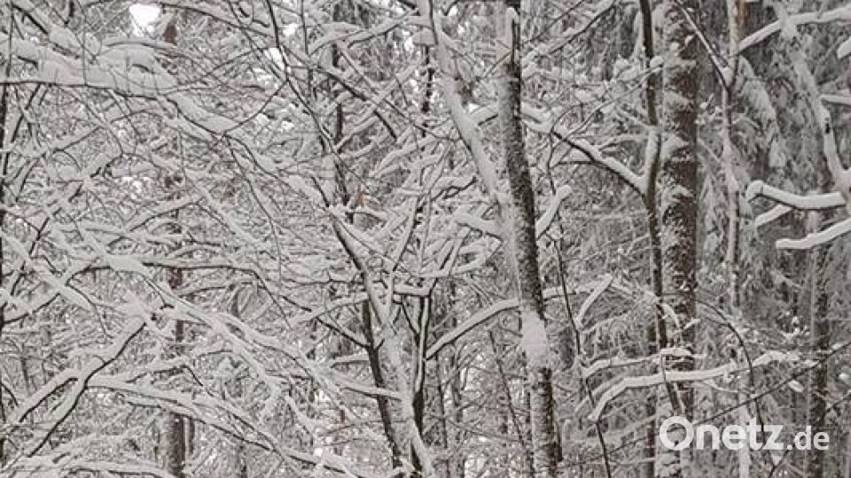 Vom Mariahilfberg nach Raigering durch den Schnee. Bild: Kerstin Weber