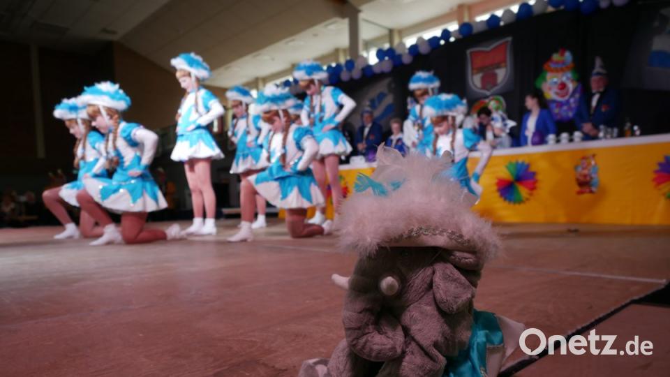 Viel Spaß hatten die Teilnehmer des 41. Seniorenfaschings des Landkreises Tirschenreuth. Bild: tr