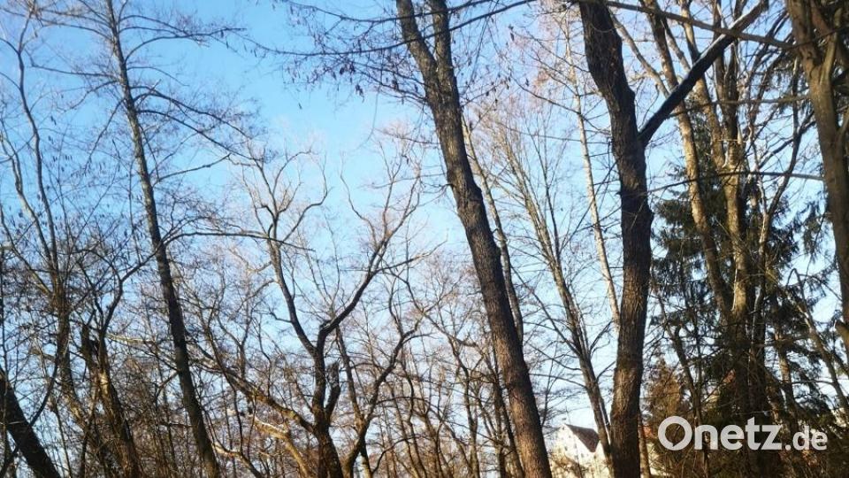 Neustadt an der Waldnaab. Bild: Dana Grießbach