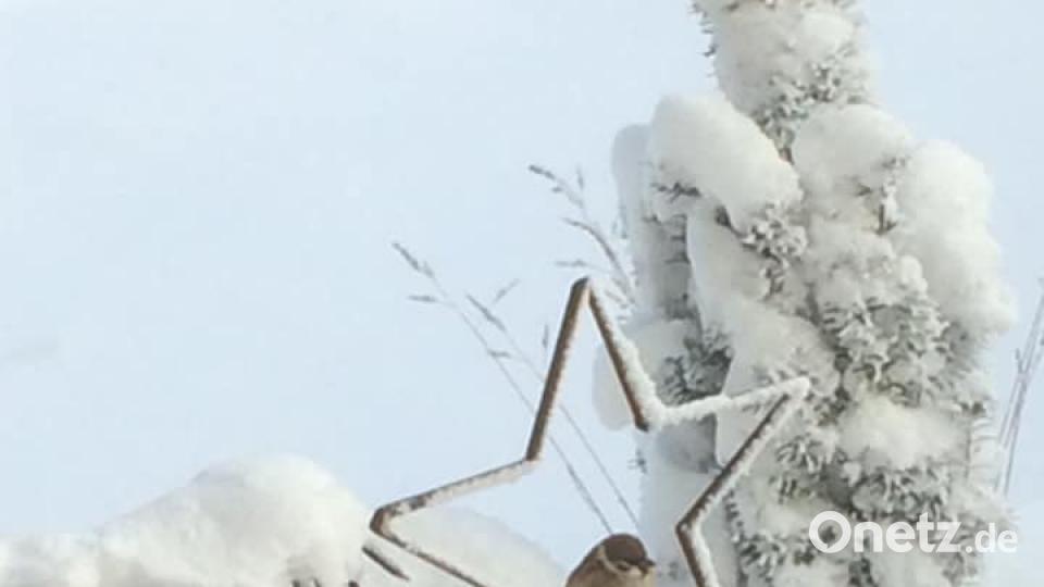 Schneebilder unserer Leser Bild: Andrea Margareta