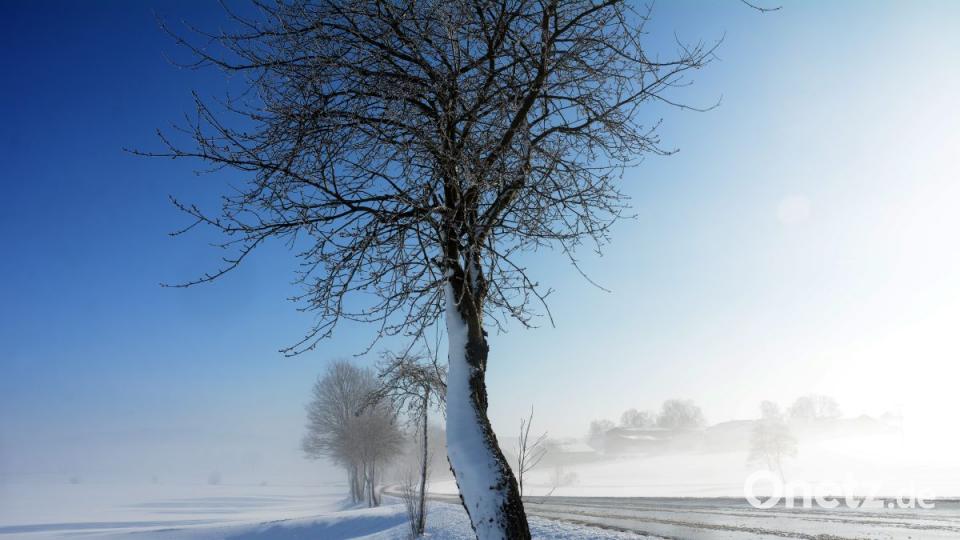 Wie im Traum: Schnee und Nebel vereinen sich bei Erpetshof zu einem natürlichen Weichzeichner. Bild: Gabi Schönberger