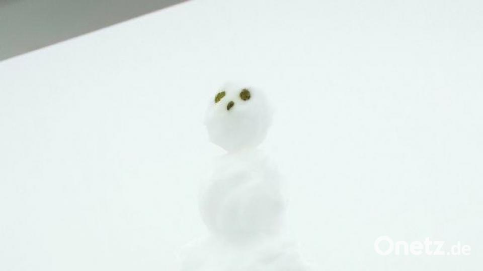 Der Schneemann, der nachts zu einem Geist wurde. Bild: Klaudia Ott