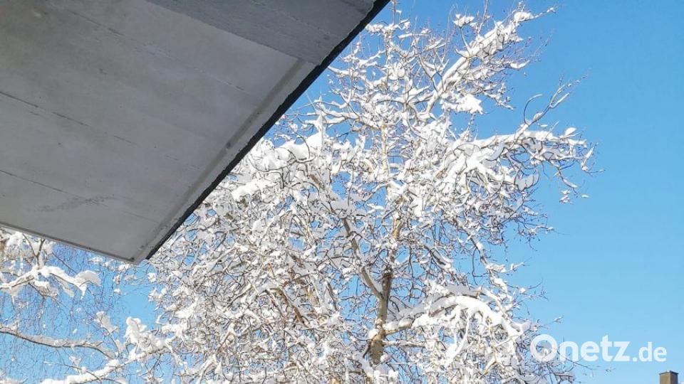 Schneebilder unserer Leser Bild: exb