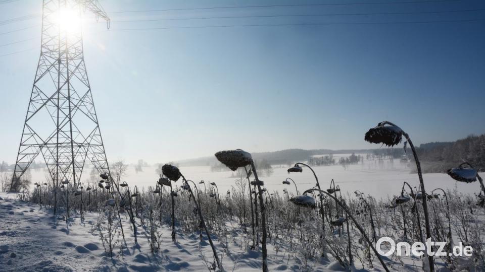 So schön zeigt sich der Winter am Montag in Weiden und im Landkreis Neustadt/WN. Bild: Gabi Schönberger