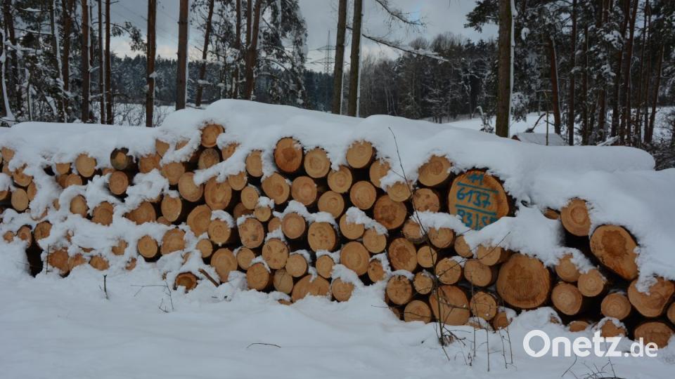 Bilderbuchwinter im Frühjahr 2019 im Landkreis Tirschenreuth. Bild: Josef Rosner