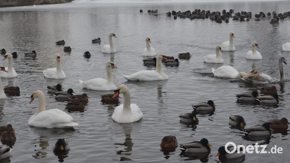 Bilderbuchwinter im Frühjahr 2019 im Landkreis Tirschenreuth. Bild: Benkhardt
