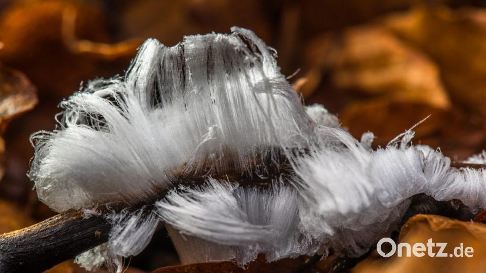 Bilderbuchwinter im Frühjahr 2019 im Landkreis Tirschenreuth. Bild: Steinkohl