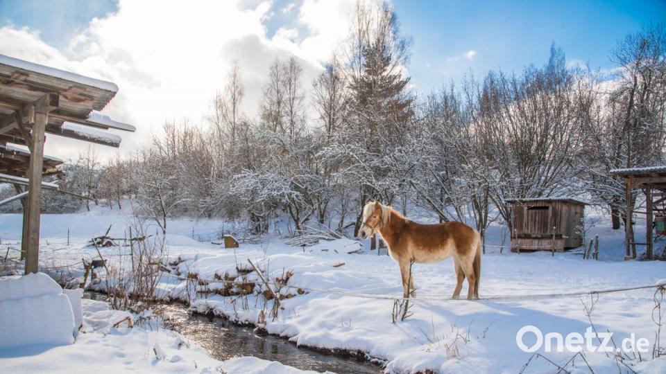 Bilderbuchwinter im Frühjahr 2019 im Landkreis Tirschenreuth. Bild: Steinkohl