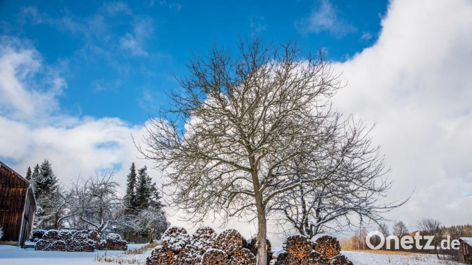 Bilderbuchwinter im Frühjahr 2019 im Landkreis Tirschenreuth. Bild: Steinkohl