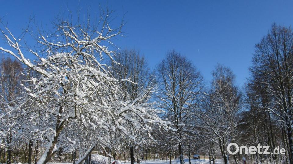 Bilderbuchwinter im Frühjahr 2019 im Landkreis Tirschenreuth. Bild: Koch