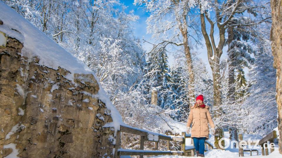 Bilderbuchwinter im Frühjahr 2019 im Landkreis Tirschenreuth. Bild: Steinkohl