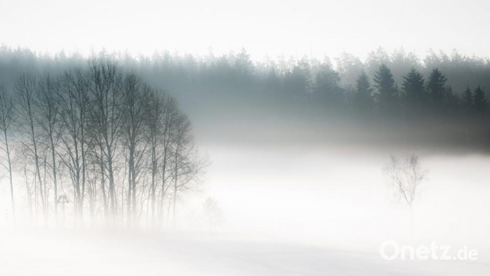 Bilderbuchwinter im Frühjahr 2019 im Landkreis Tirschenreuth. Bild: Steinkohl