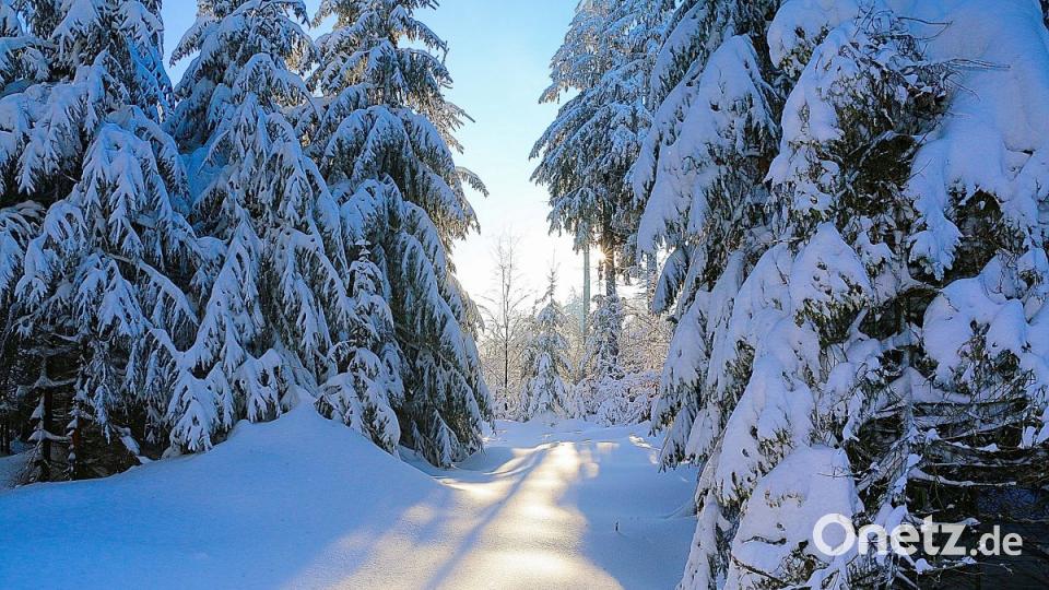 Sonnenaufgang im Steinwald. Für Heiner und Emil Denz im Winter keine Seltenheit. Bild: bsc