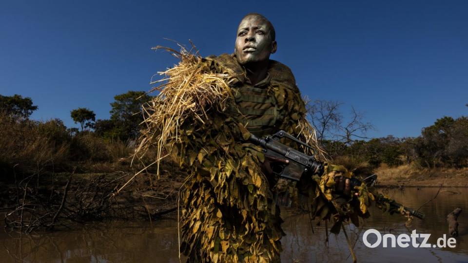 Simbabwe: Dieses von World Press Photo zur Verfügung gestellte Foto von Brent Stirton zeigt Petronella Chigumbura (30), Eliterangerin bei den &quot;Ashinga&quot;, eine Schutzeinheit ausschließlich aus Frauen. Die Jury des renommierten Wettbewerbes World Press Photo hat neben Stirton fünf weitere Fotografen für das beste Pressefoto des Jahres nominiert. Die Sieger werden im April bekannt gegeben. Bild: Brent Stirton/World Press Photo/Getty Images/dpa