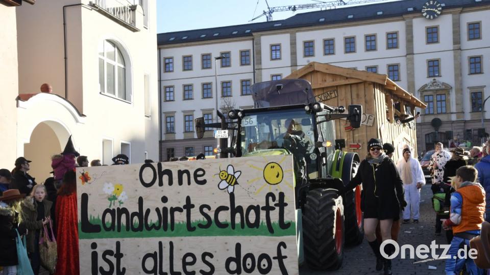 Der Ostbayerische Faschingszug schlängelt sich durch Amberg Bild: Petra Hartl