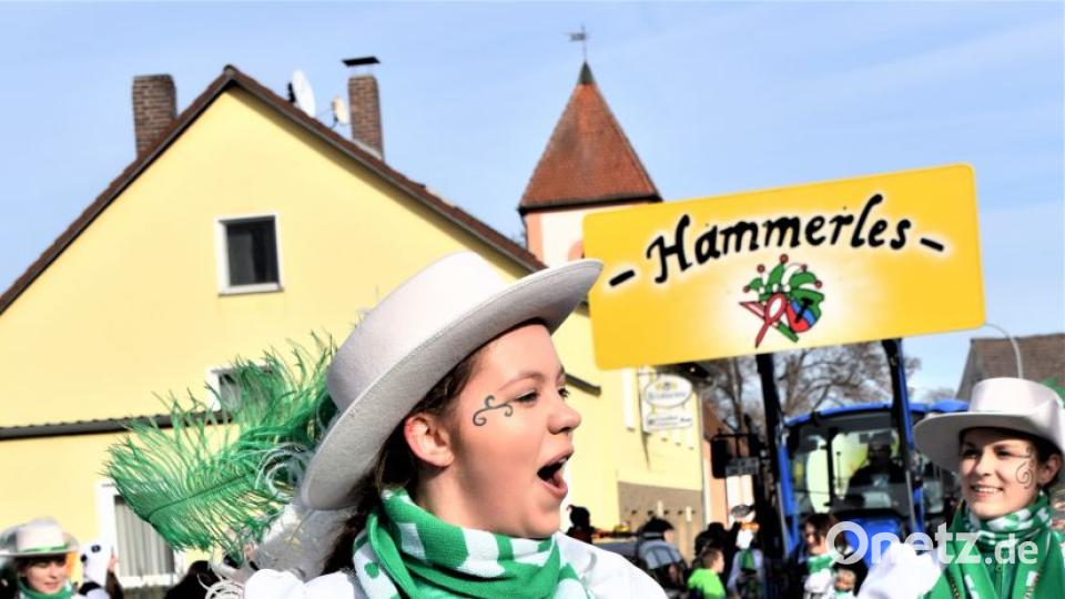 Faschingszug in Hütten Bild: rgr