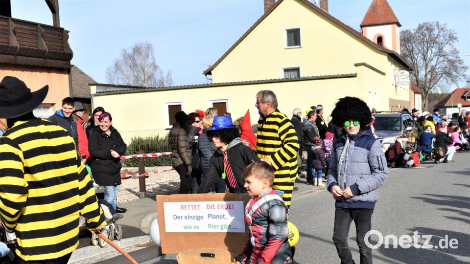 Faschingszug in Hütten Bild: rgr
