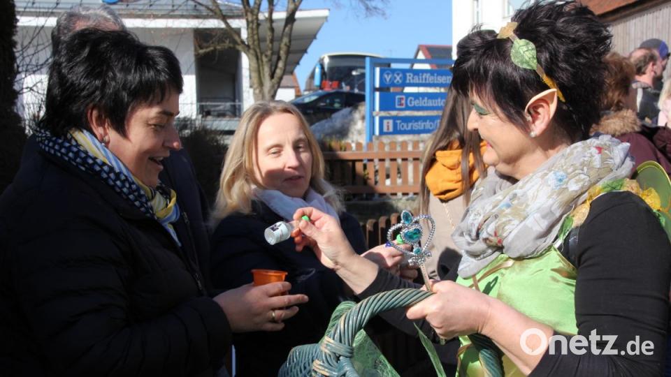 Faschingszug Mähring 2019 Bild: kro